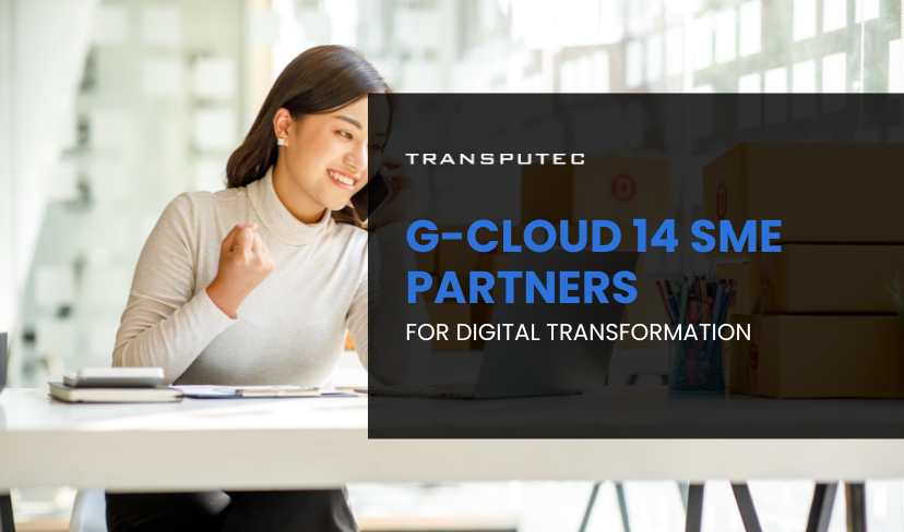 G-Cloud 14 SME Partners