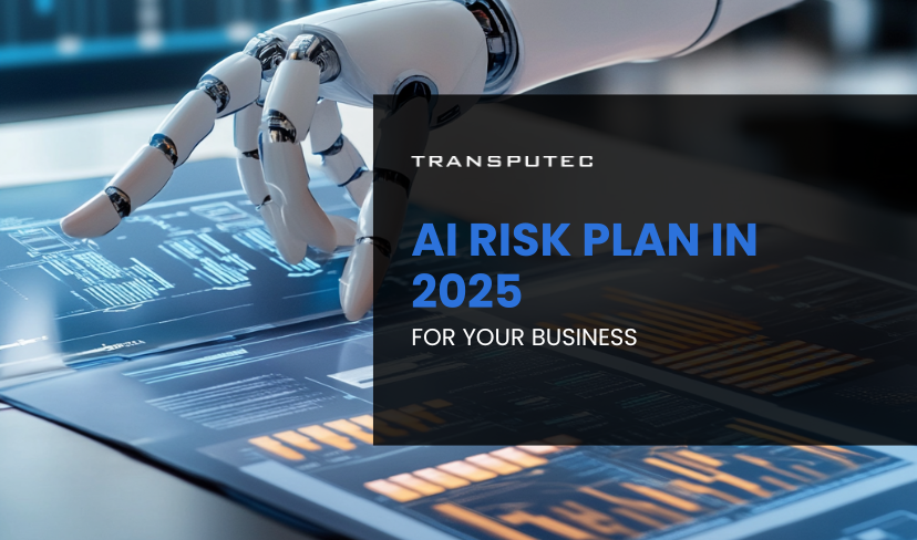 AI Risk Plan in 2025