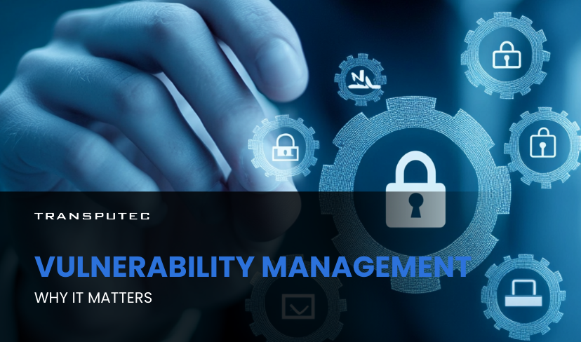 Vulnerability Management