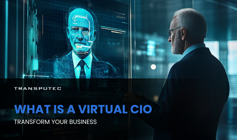 Virtual CIO